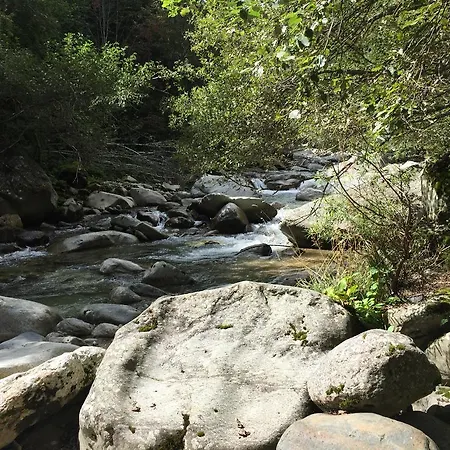 Disentiserhof C502 디센티스