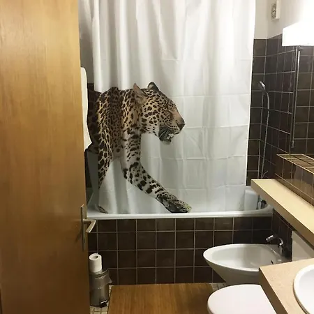 Disentiserhof C502 *