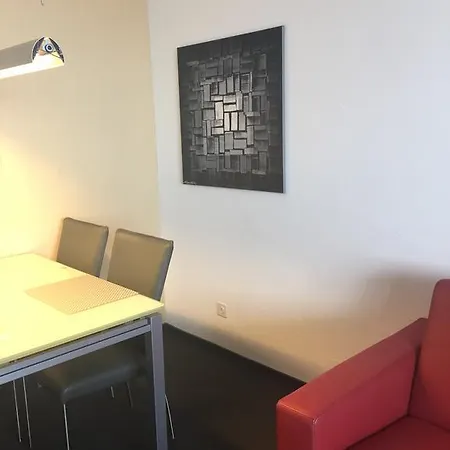 Disentiserhof C502 公寓