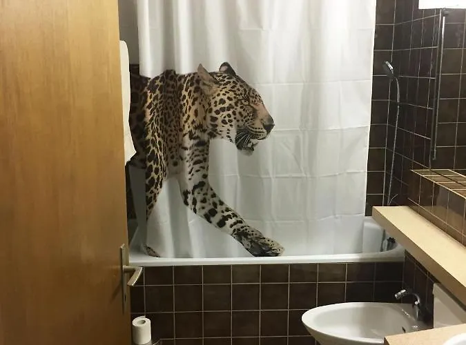 Disentiserhof C502 *