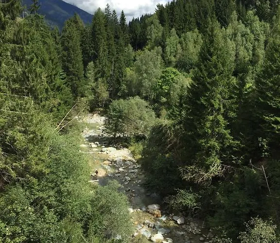 شقة Disentiserhof C502 ديسنتس