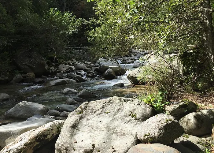 Disentiserhof C502 ديسنتس